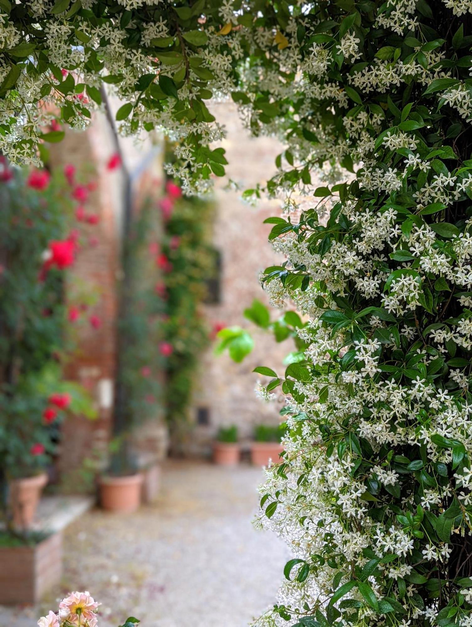 Enchanting Verona Luaran gambar